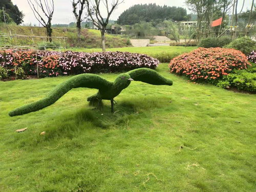 【人氣景觀植物雕塑,廠家定制綠雕造型,批發價出售綠雕造型】- 