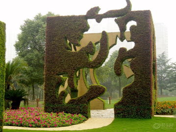 比亞迪s6社區圖片集錦 易車