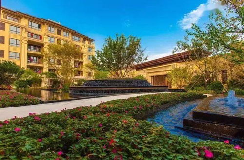 植物景觀丨這些樹種出來的藝術